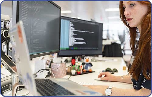 Desarrollador de videojuegos